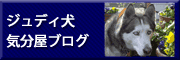 サイト担当者が書くブログです（仕事以外）